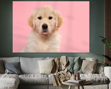 Portet van golden retriever puppy tegen een roze achtergrond van Elles Rijsdijk