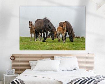 Dartmoor paarden met veulens in het engelse Dartmoor landschap van Elles Rijsdijk