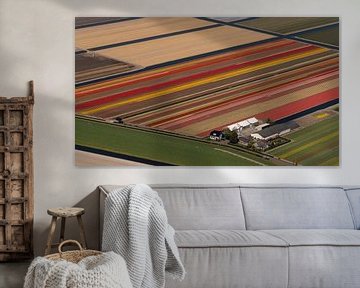Aerial view of the farm between the flowering tulips by aerovista luchtfotografie