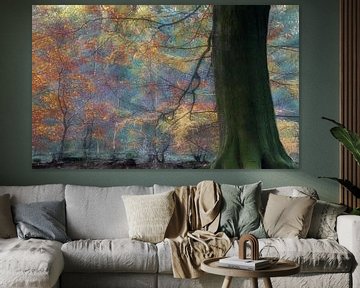 Herfstkleuren in Speulderbos van Ronald van Dijk