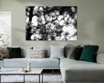 Forest Sparkles - zwartwit fotografie