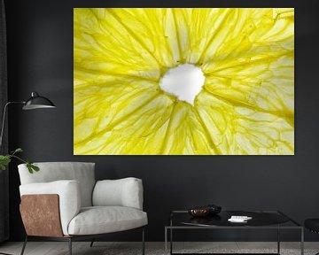 Nahaufnahme einer Zitronenscheibe vor einem weißen Hintergrund. von Carola Schellekens
