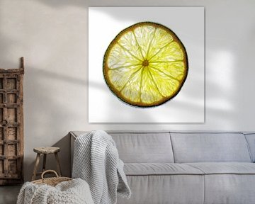 Close-up of a slice of lime with a white background. by Carola Schellekens