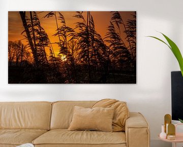orange sunrise