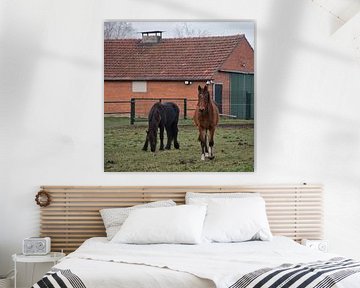 Jeunes chevaux dans la prairie en décembre sur Jolanda de Jong-Jansen