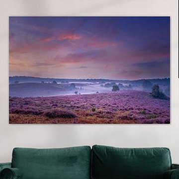 Parc national Veluwezoom sur Dennis Donders