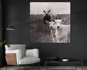 Moederschaap met twee lammetjes van Jefra Creations
