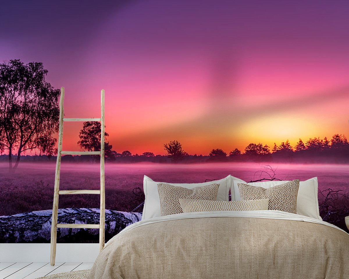 Raumvorschau