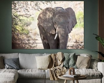 Elefant in der Wüste von Namibia, Afrika von Teun Janssen