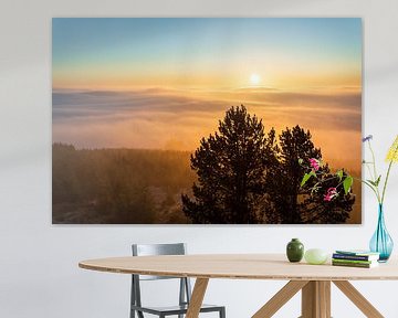 Nebelmeer auf dem Bollerberg bei Hesborn im Sauerland von Deimel Fotografie