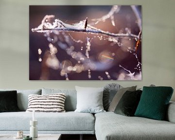spinnenrag met winter rijp van Karijn | Fine art Natuur en Reis Fotografie