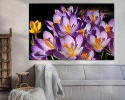 Aperçu de la chambre