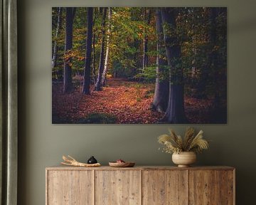 Herbst im Wald von Florian Kunde