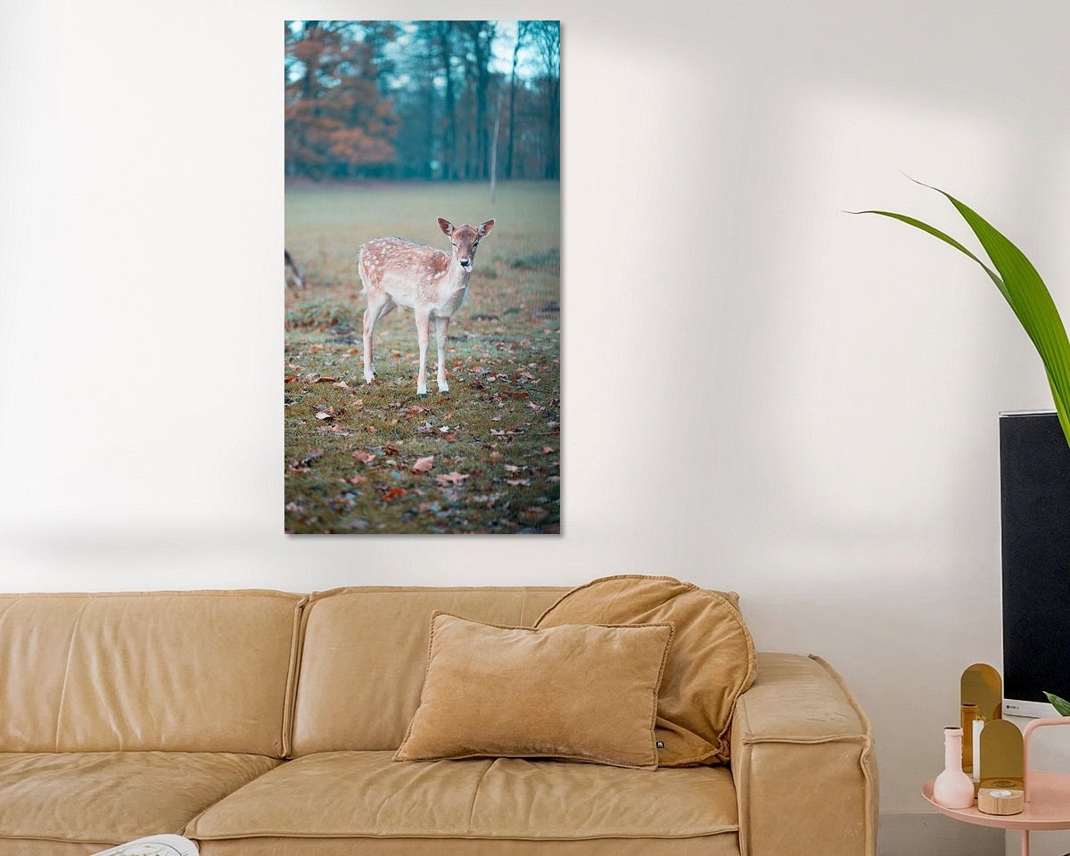 Raumvorschau
