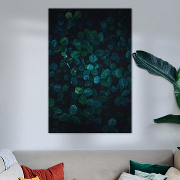 Klaver in het ochtendlicht