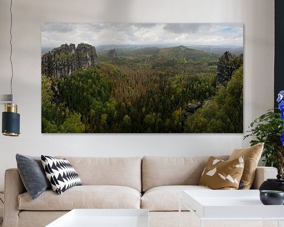 Aperçu de la chambre