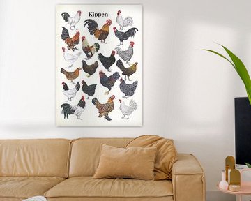 Chickens by Jasper de Ruiter