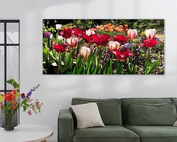 Tulipes en fleurs sur Corinne Welp