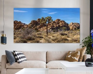 Arbre de Joshua avec des rochers dans le parc national de Joshua Tree