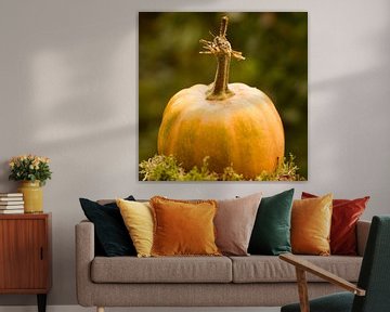Orange pumpkin a beautiful decoration in autumn by Jolanda de Jong-Jansen