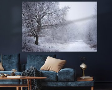 chemin forestier d'hiver recouvert d'une couche de neige sur Karijn | Fine art Natuur en Reis Fotografie