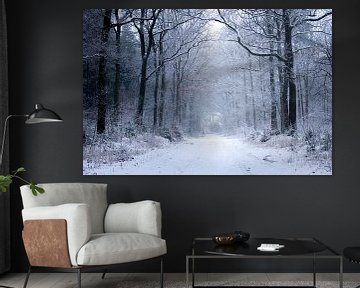 l'hiver dans la forêt sur Karijn | Fine art Natuur en Reis Fotografie
