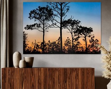 Zonsondergang in Florida van Part of the vision