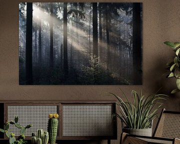 Zonneharpen in dennenbos van Danny Slijfer Natuurfotografie