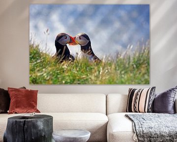 Puffins in dialogue by Reinhard  Pantke