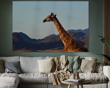 Giraffe van JTravel