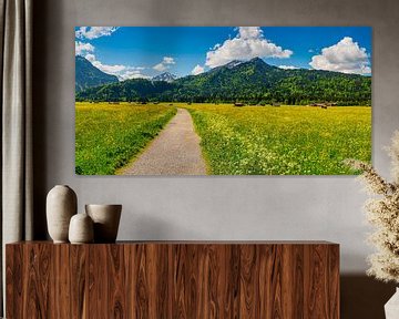 Alpine meadow near Oberstdorf by Walter G. Allgöwer