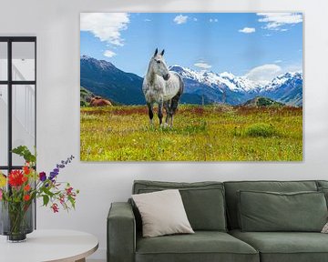 Cheval blanc dans un champ de la Cordillère des Andes. sur Marcel Bakker