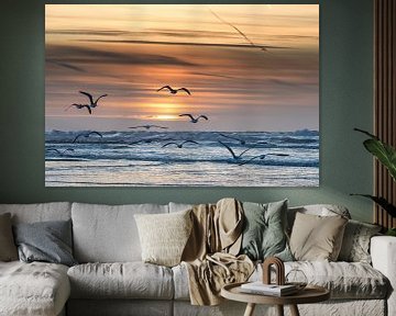 Gulls fly towards the sunset