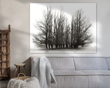 Weemoed - sfeervolle bomen van BHotography