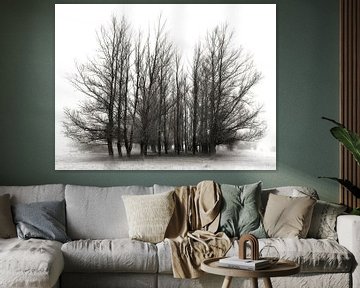 Mélancolie - arbres atmosphériques sur BHotography