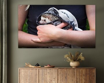 Porträt eines afrikanischen Weißbauchzapfens