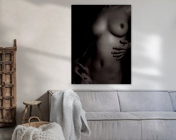 Artistic Nude of a Woman's Breasts by Art By Dominic