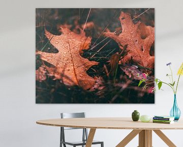 Feuilles d'automne dans la rosée sur Jeroen Brasz