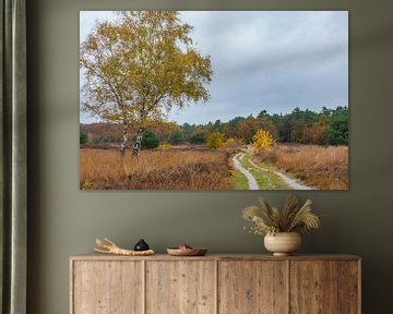Heideveld met witte berk in herfstkleuren van Hilda Weges