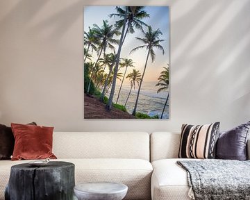 Palmbomen en surf vibes bij zonsopkomst in Mirissa van Teun Janssen