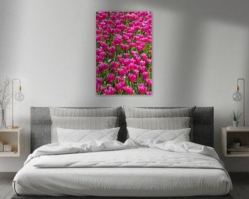 Roze tulpen van Amber Koehoorn