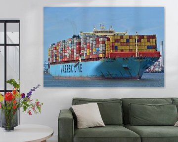 Containerschip de Maersk Essex van Piet Kooistra