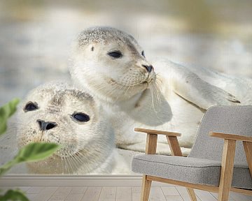 Kleine zeehonden van Martina Fornal