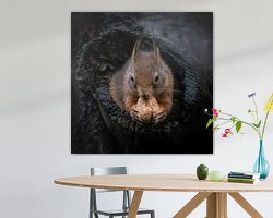 Raumvorschau