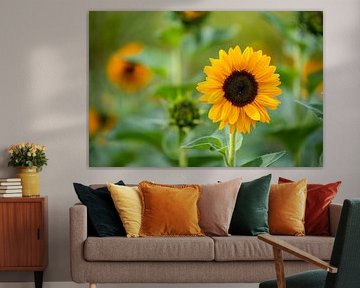 Les fleurs brillantes avec leurs fleurs sont au centre de l'attention
