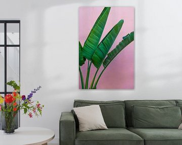 Strelitzia plant, kleurrijke foto print | wall art van Anneloes van Acht