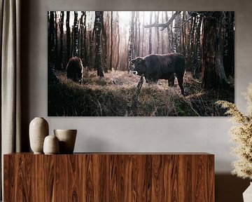 Koeien in het Planken wambuis, Ede van AciPhotography