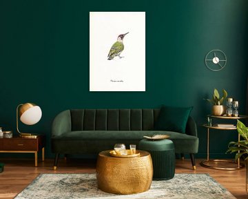Green Woodpecker by Jasper de Ruiter