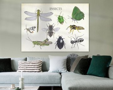 Insects van Jasper de Ruiter