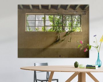 Fenster mit Pflanzen von Martijn Tilroe